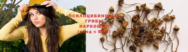 молекула духа Лагань