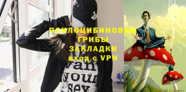 молекула духа Лагань