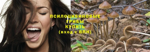 молекула духа Лагань