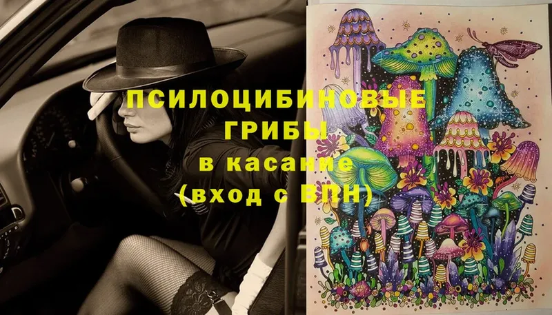 Галлюциногенные грибы MAGIC MUSHROOMS  закладки  сайты даркнета телеграм  Чехов 